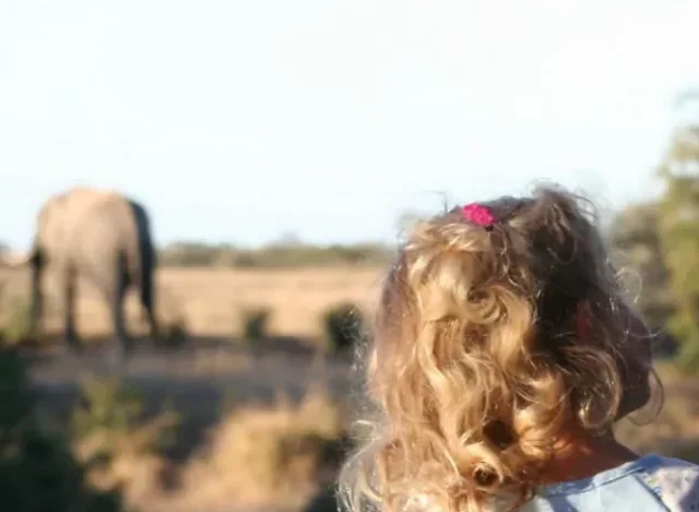 7 safáris que nós recomendamos para crianças de 6 a 12 anos