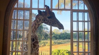 viagem para o quenia