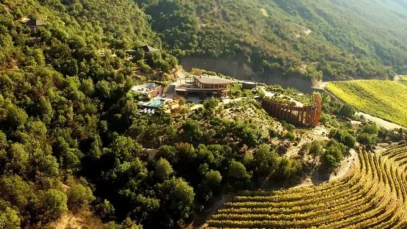 A trilha da merlot pela América do Sul