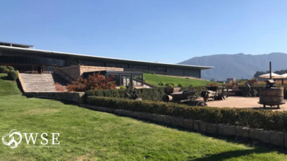 O Chile para os amantes de Carmenere