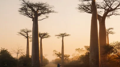 Roteiro em Madagascar.