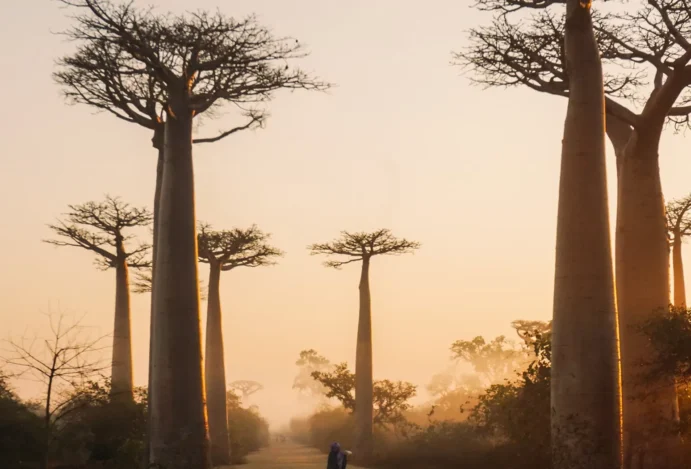 Roteiro em Madagascar.