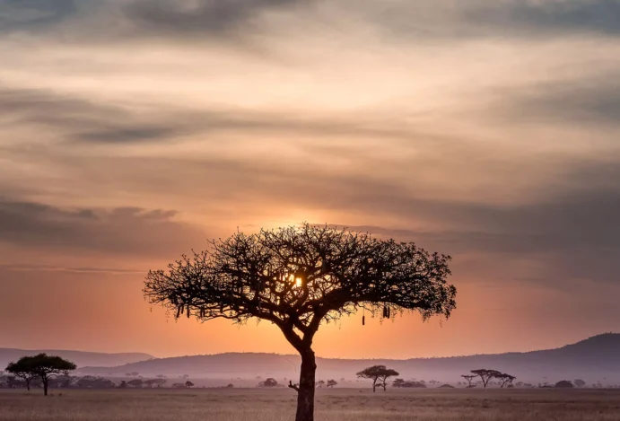 Paisagem da Tanzânia