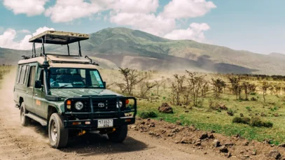 Viagem de safári