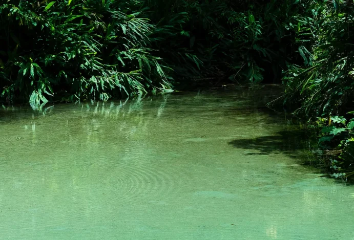 Jalapão - Paraíso Natural