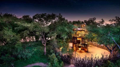 Ngala Tree house, lodge com incrível vista das estrelas