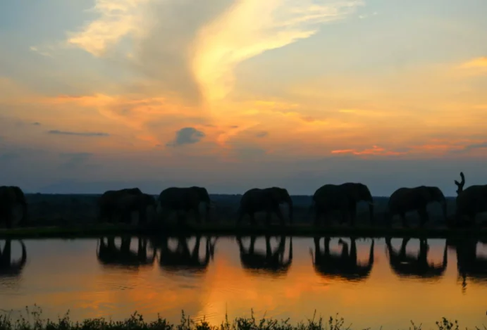 África do Sul, além dos safáris