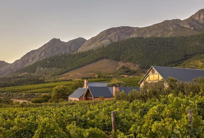 Liz Biden e o estilo inconfundível da hospitalidade sul-africana