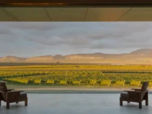 Ver mais: Vinhos da Chapada Diamantina: o novo sabor da Bahia