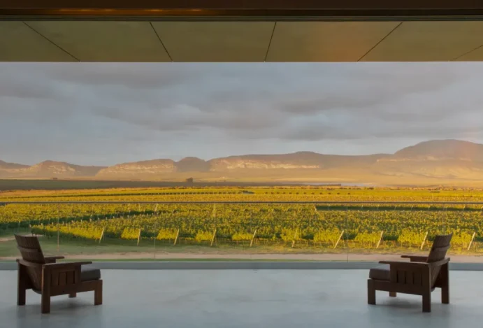 Vinhos da Chapada Diamantina: o novo sabor da Bahia