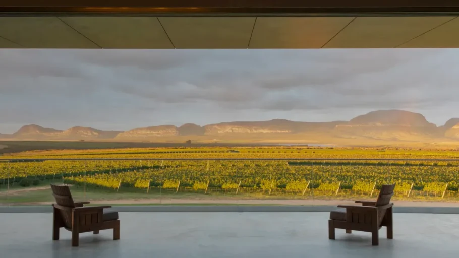 Vinhos da Chapada Diamantina: o novo sabor da Bahia