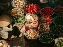 Ver mais: Da street food à alta gastronomia, descubra como a comida no Sudeste Asiático expressa história, criatividade e modo de viver.