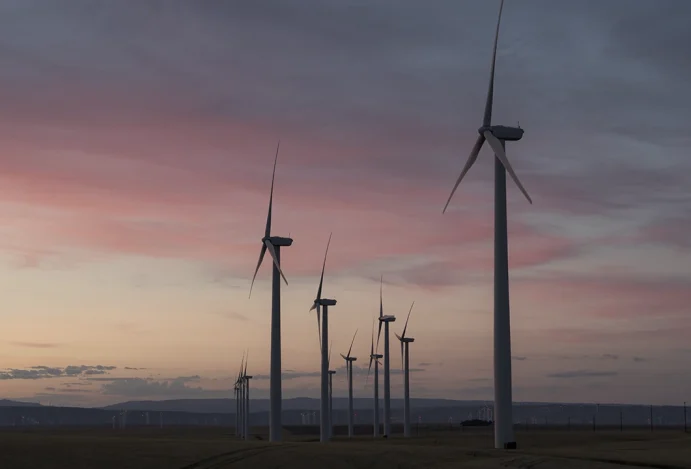 Compensação de Carbono