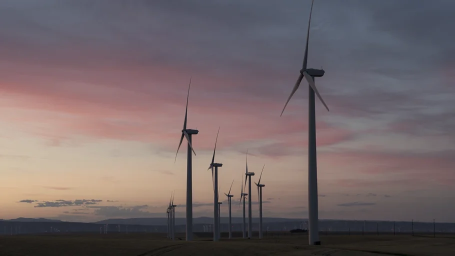 Compensação de Carbono