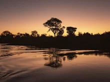 Ver mais: Viajar pelo Pantanal pode ir além da experiência: um gesto de preservação que apoia comunidades, pesquisas e a vida selvagem.