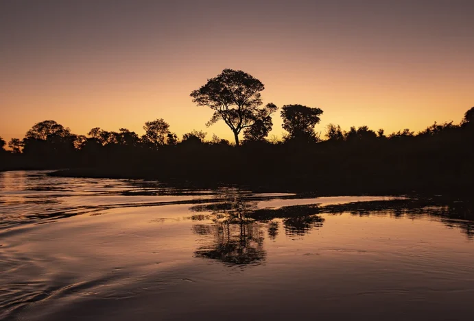 Viagens sustentáveis no Pantanal: quando o turismo protege a vida selvagem