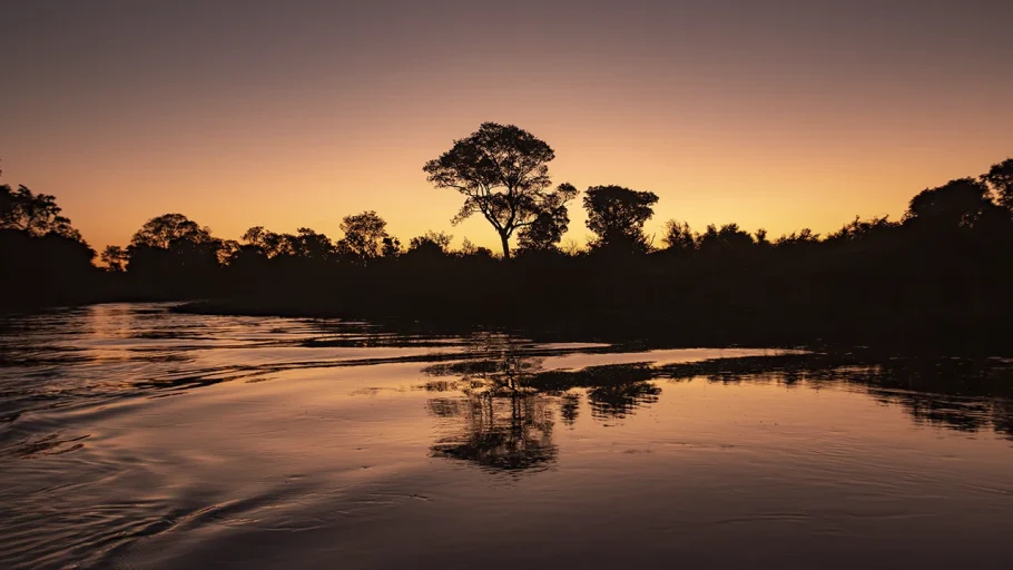 Viagens sustentáveis no Pantanal: quando o turismo protege a vida selvagem