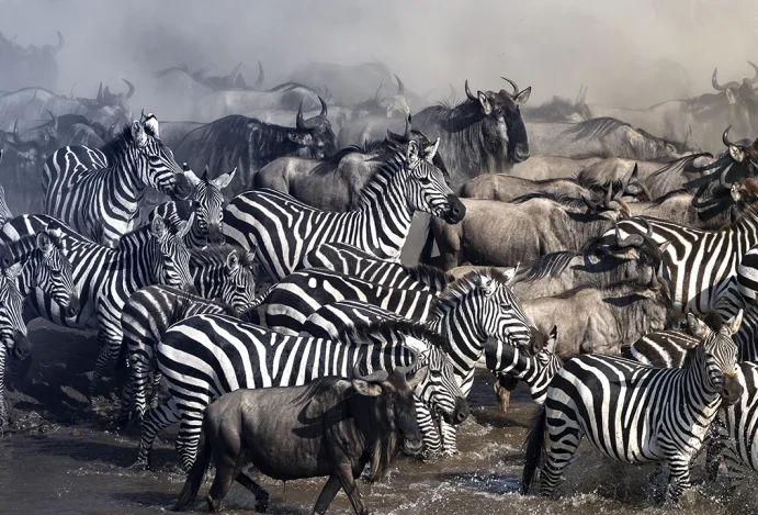 Entendendo a Grande Migração na África